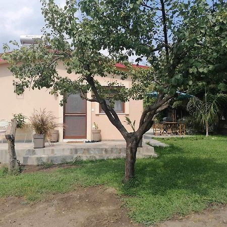 Tiny House By The Sea Villa Nea Skioni Ngoại thất bức ảnh