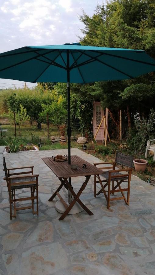 Tiny House By The Sea Villa Nea Skioni Ngoại thất bức ảnh
