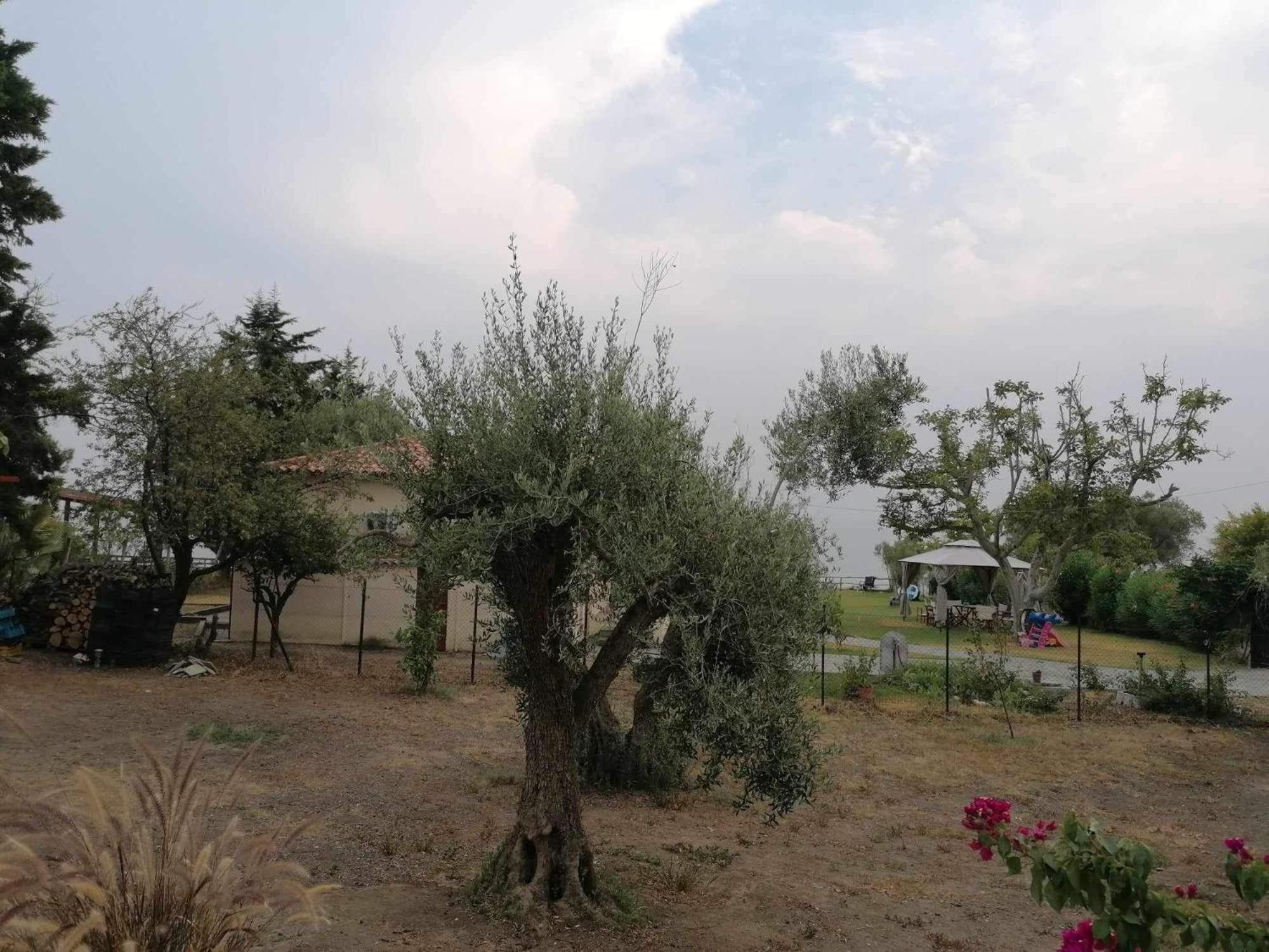 Tiny House By The Sea Villa Nea Skioni Ngoại thất bức ảnh
